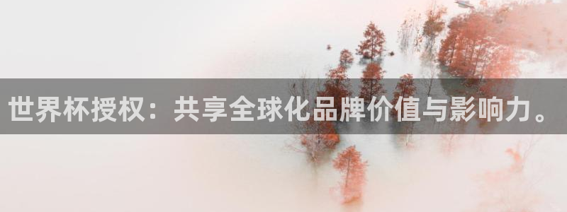 2026世界杯亚洲区预选赛：世界杯授权：共享全球化品牌价值与影响力。