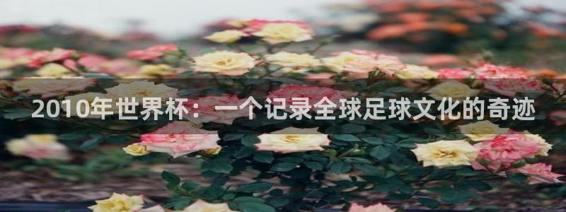 世界杯预选赛直播：2010年世界杯：一个记录全球足球文化的奇迹
