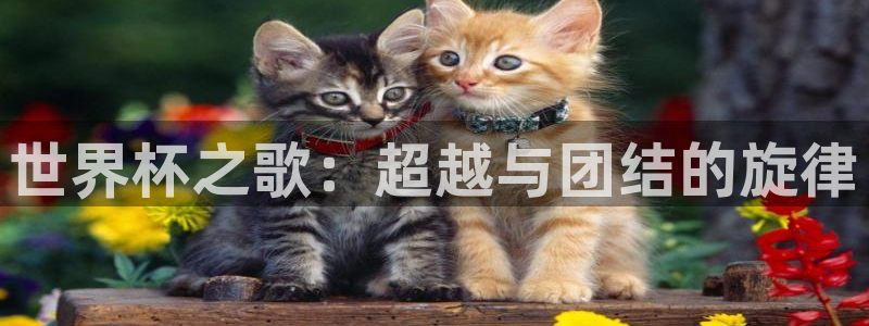 世预赛欧洲赛程表：世界杯之歌：超越与团结的旋律