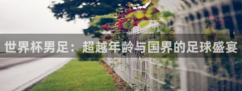 世界杯足球比赛：世界杯男足：超越年龄与国界的足球盛宴