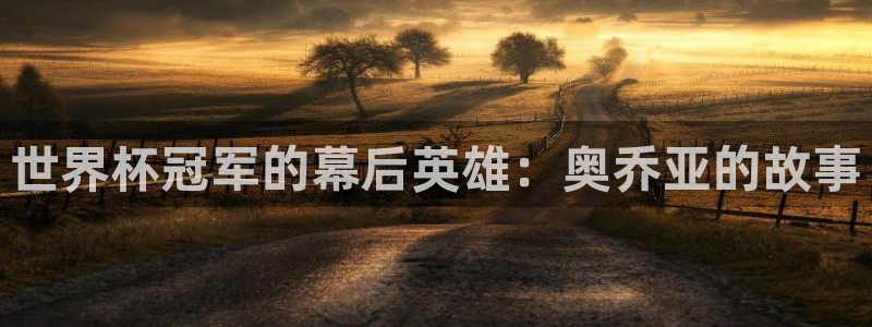 英足总杯直播：世界杯冠军的幕后英雄：奥乔亚的故事