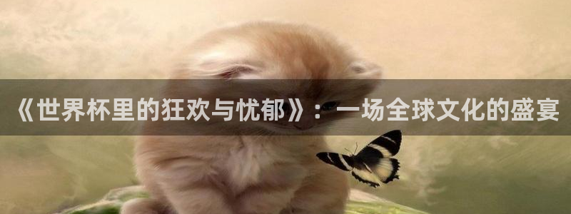 世界杯比赛时间：《世界杯里的狂欢与忧郁》：一场全球文化的盛宴