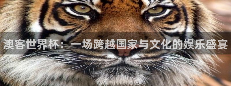 世界杯欧洲区预选赛赛程：澳客世界杯：一场跨越国家与文化的娱乐盛宴