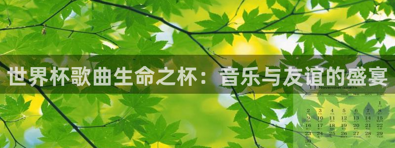 2026世界杯足球赛程时间表：世界杯歌曲生命之杯：音乐与友谊的盛宴