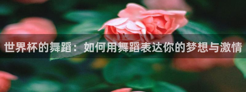 世界杯葡萄牙赛程：世界杯的舞蹈：如何用舞蹈表达你的梦想与激情