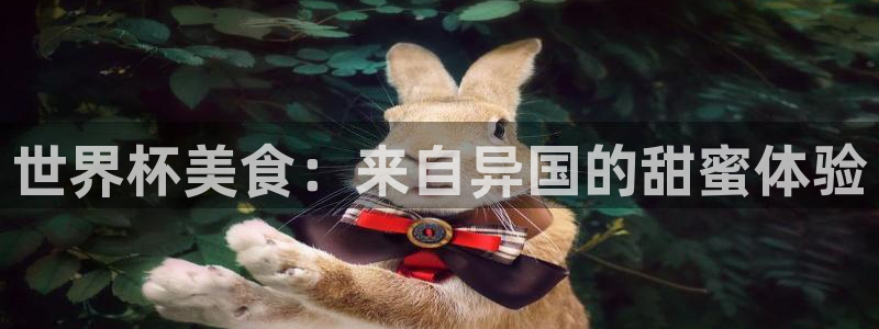 2026世界杯赛制：世界杯美食：来自异国的甜蜜体验