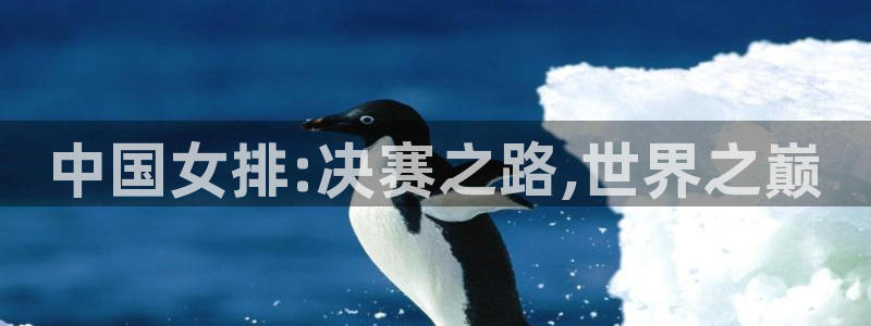 2026足球世界杯：中国女排:决赛之路,世界之巅