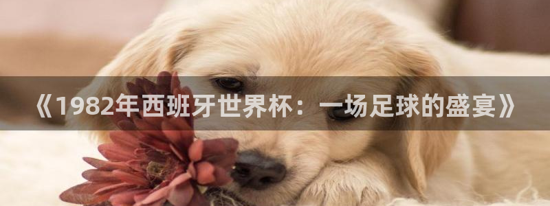 世界杯亚洲预选赛18强赛程：《1982年西班牙世界杯：一场足球的盛宴》