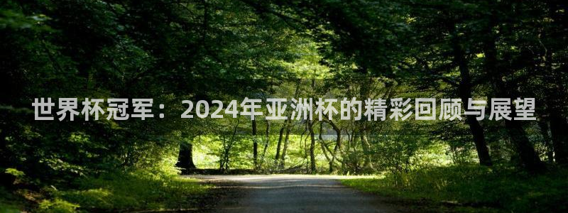 世界杯亚洲预选赛18强赛程：世界杯冠军：2024年亚洲杯的精彩回顾与展望