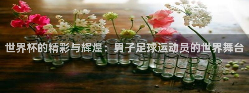 世界杯2026赛程时间表格：世界杯的精彩与辉煌：男子足球运动员的世界舞台