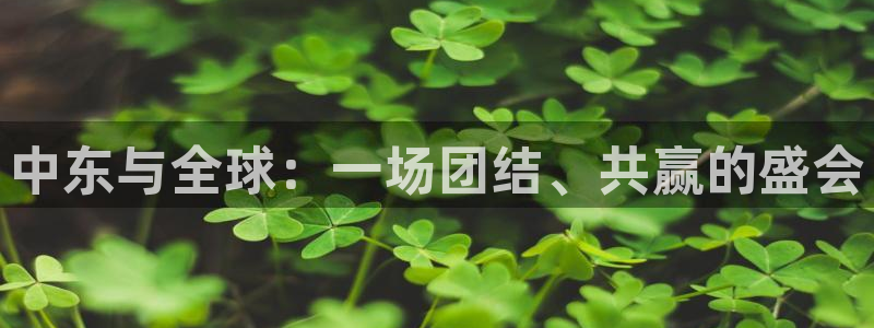 2026年世界杯对阵图：中东与全球：一场团结、共赢的盛会