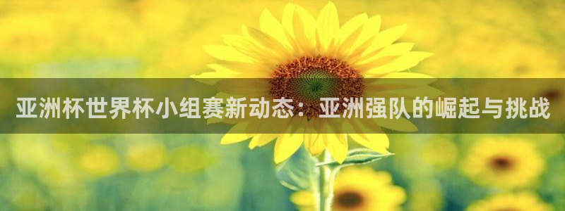 欧洲区世界杯预选赛：亚洲杯世界杯小组赛新动态：亚洲强队的崛起与挑战