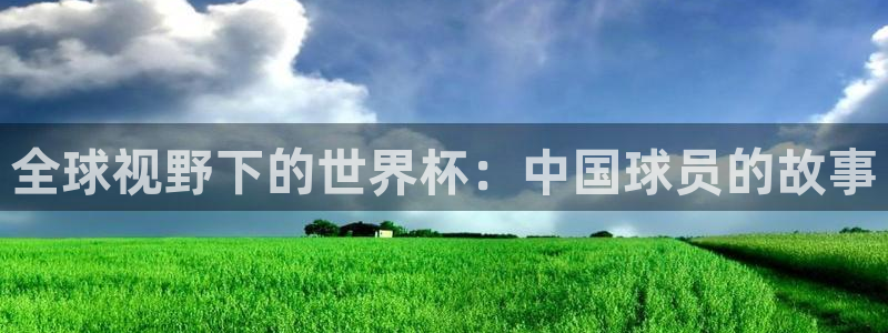 今天所有足球赛程表：全球视野下的世界杯：中国球员的故事