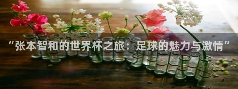 世界杯预选赛赛程：“张本智和的世界杯之旅：足球的魅力与激情”